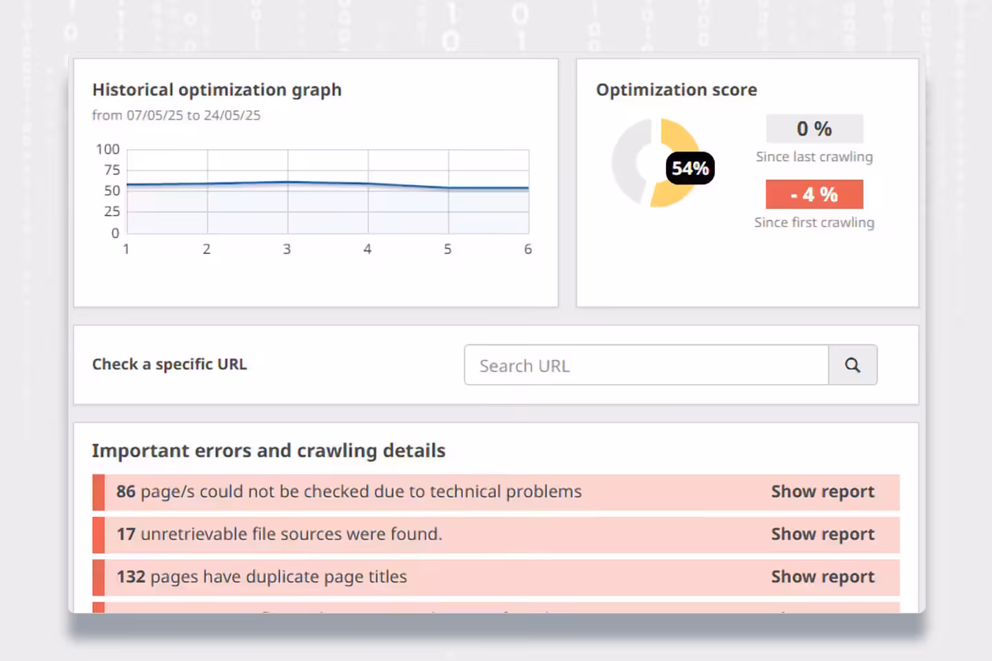 SEO Audit Dashboard - typical website errors and optimization needs based on client requests