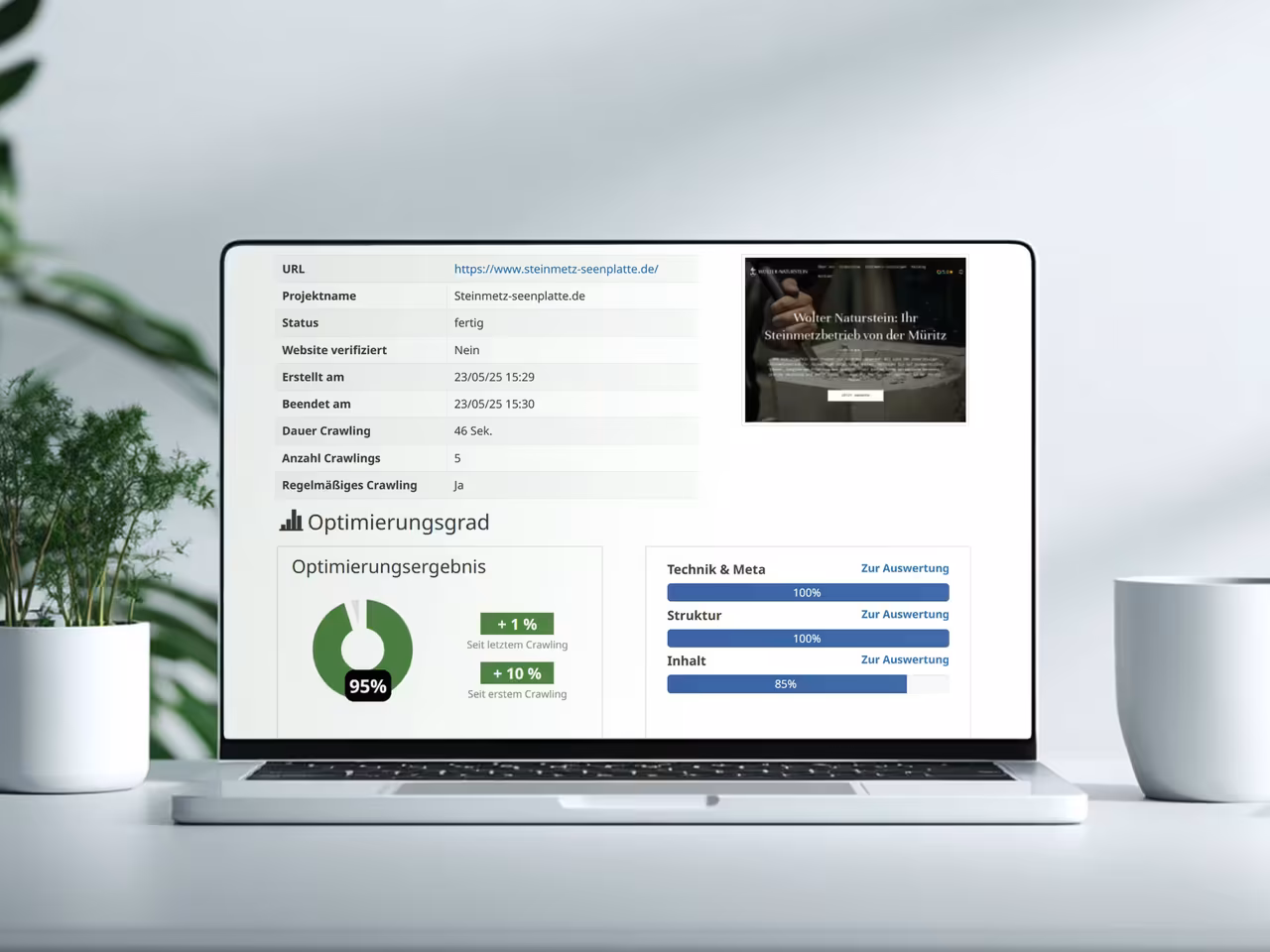 The SEO dashboard shows a 95% optimization level for steinmetz-seenplatte.de with a 10% improvement since the last crawl, and 100% optimization in technical aspects and structure, as well as 85% in content.