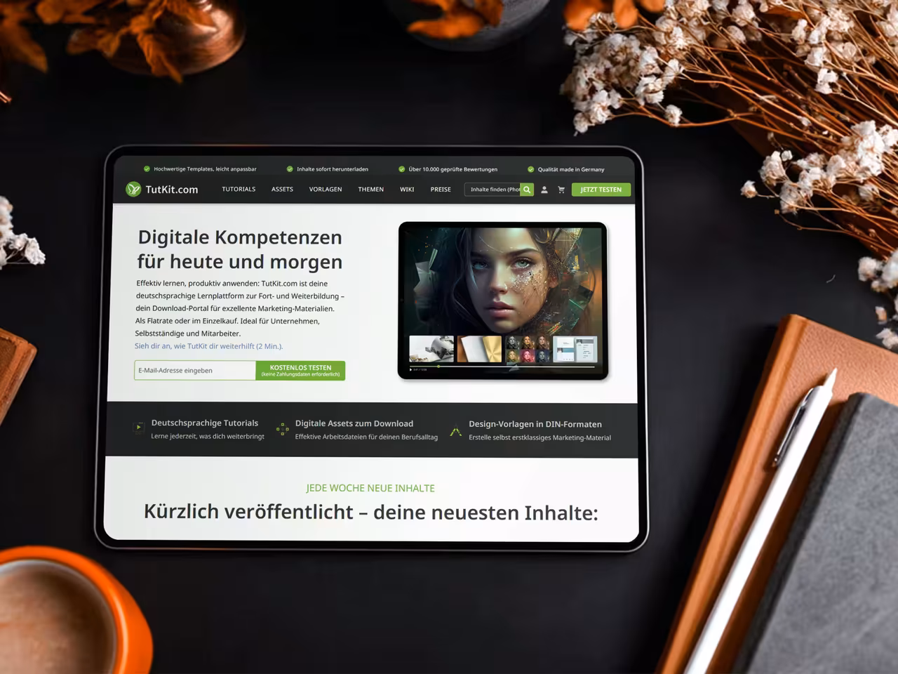 SEO Agency Schwerin - TutKit Website Design and SEO Optimization by 4eck Media