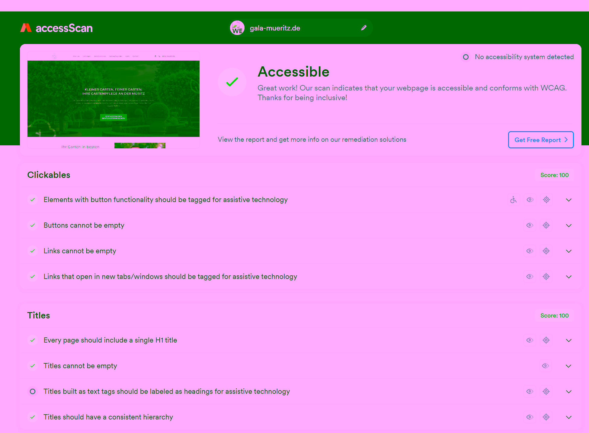Accessibility test result