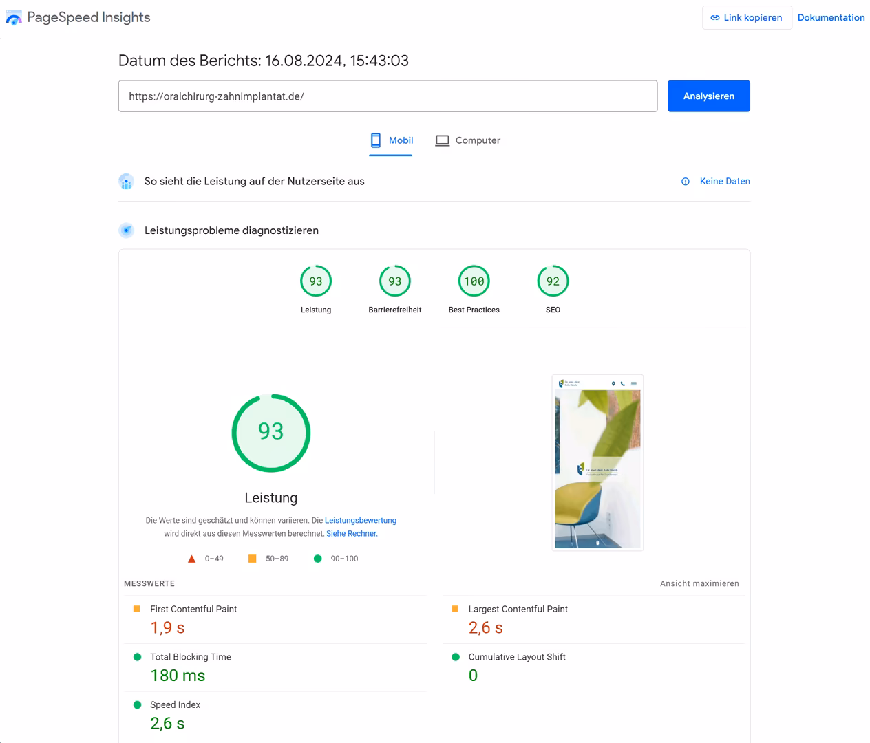Audit mit Google PageSpeed Insights