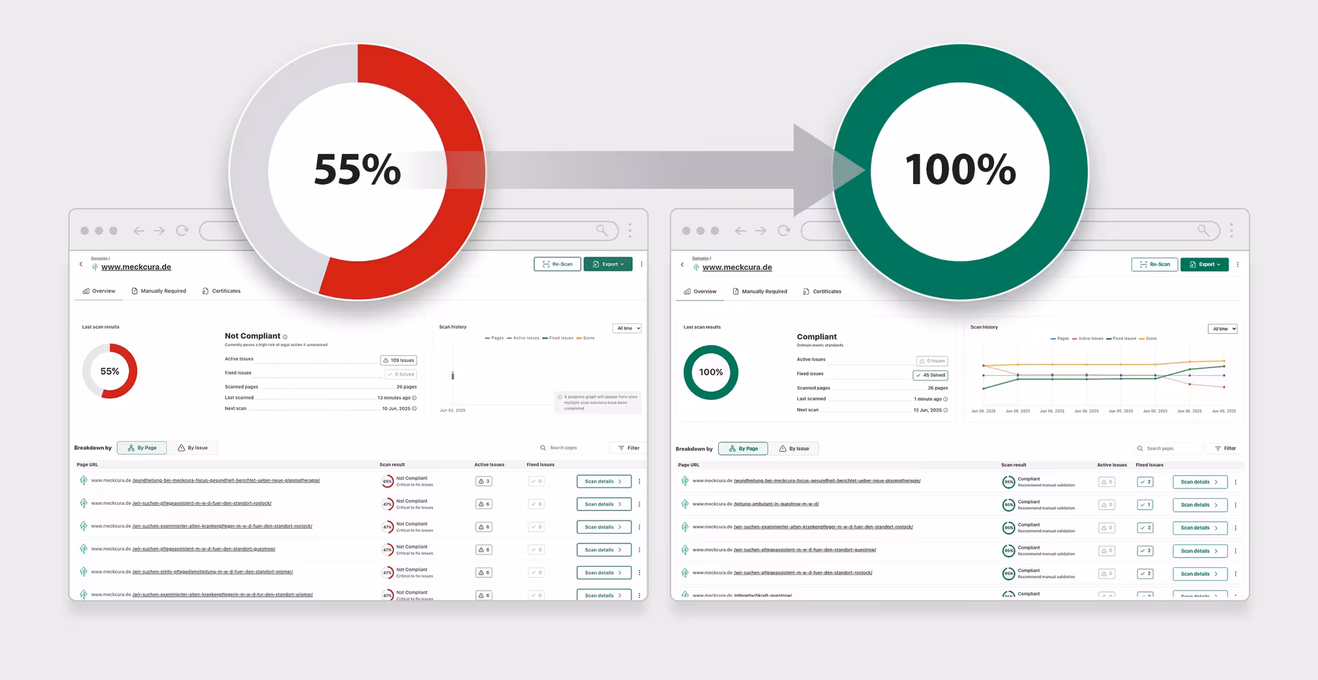 Accessibility: Evaluation of the Full Scan and Issues