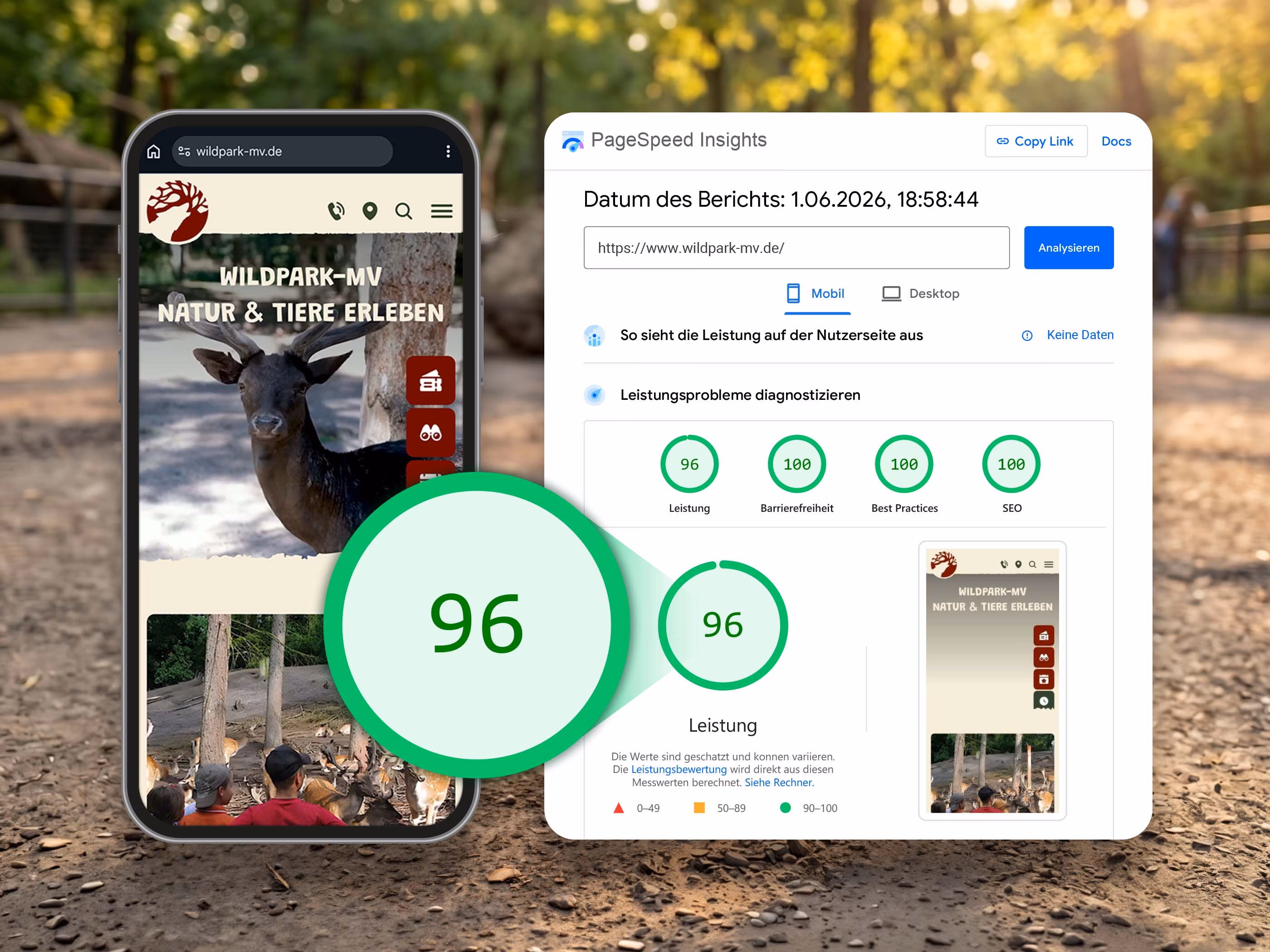 PageSpeed-Insights-Bericht mit 96 Punkten Leistung f&uuml;r die mobile Wildpark-MV Webseite