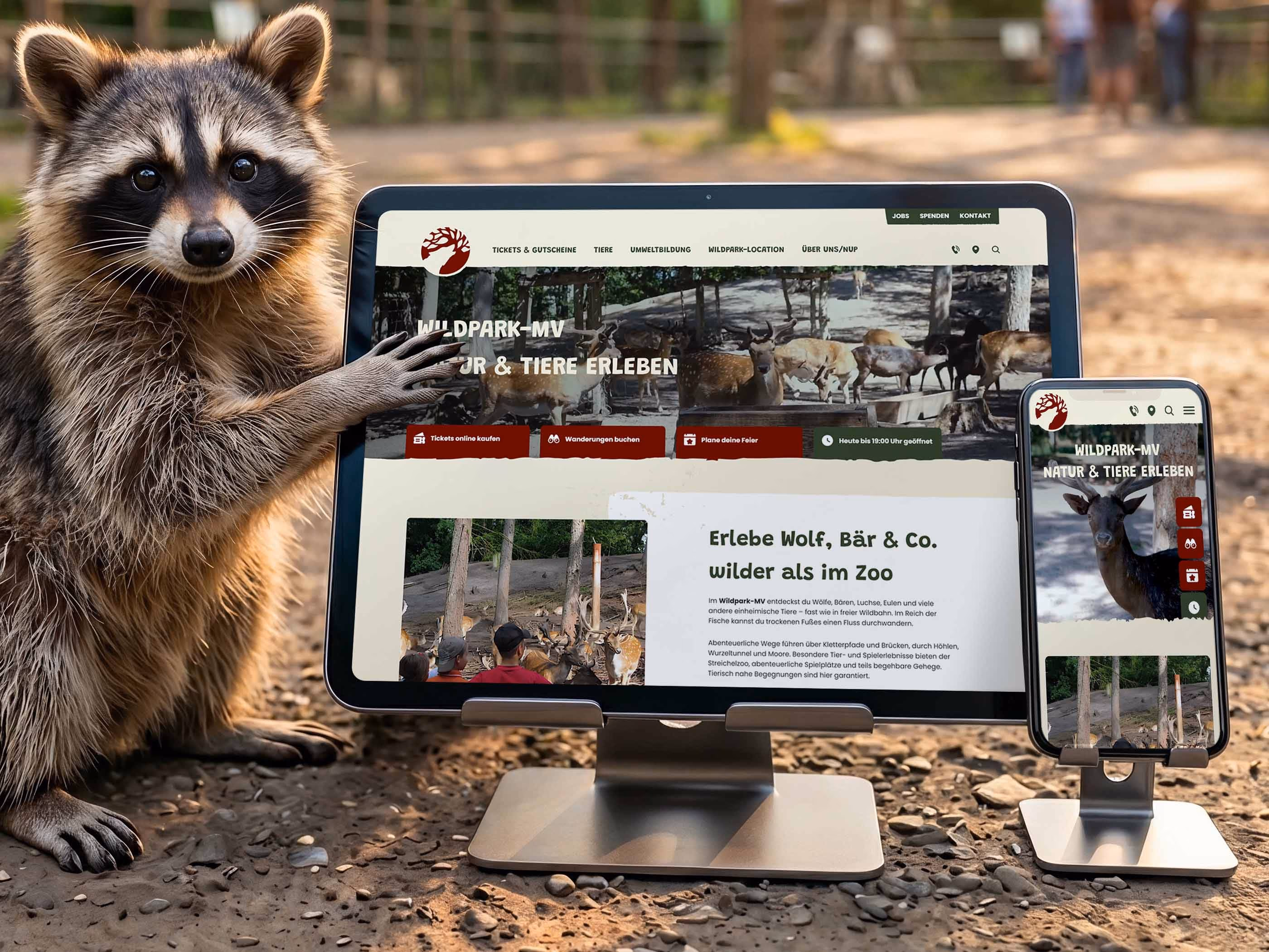 Waschb&auml;r pr&auml;sentiert die responsive Startseite des Wildpark-MV auf Tablet und Smartphone
