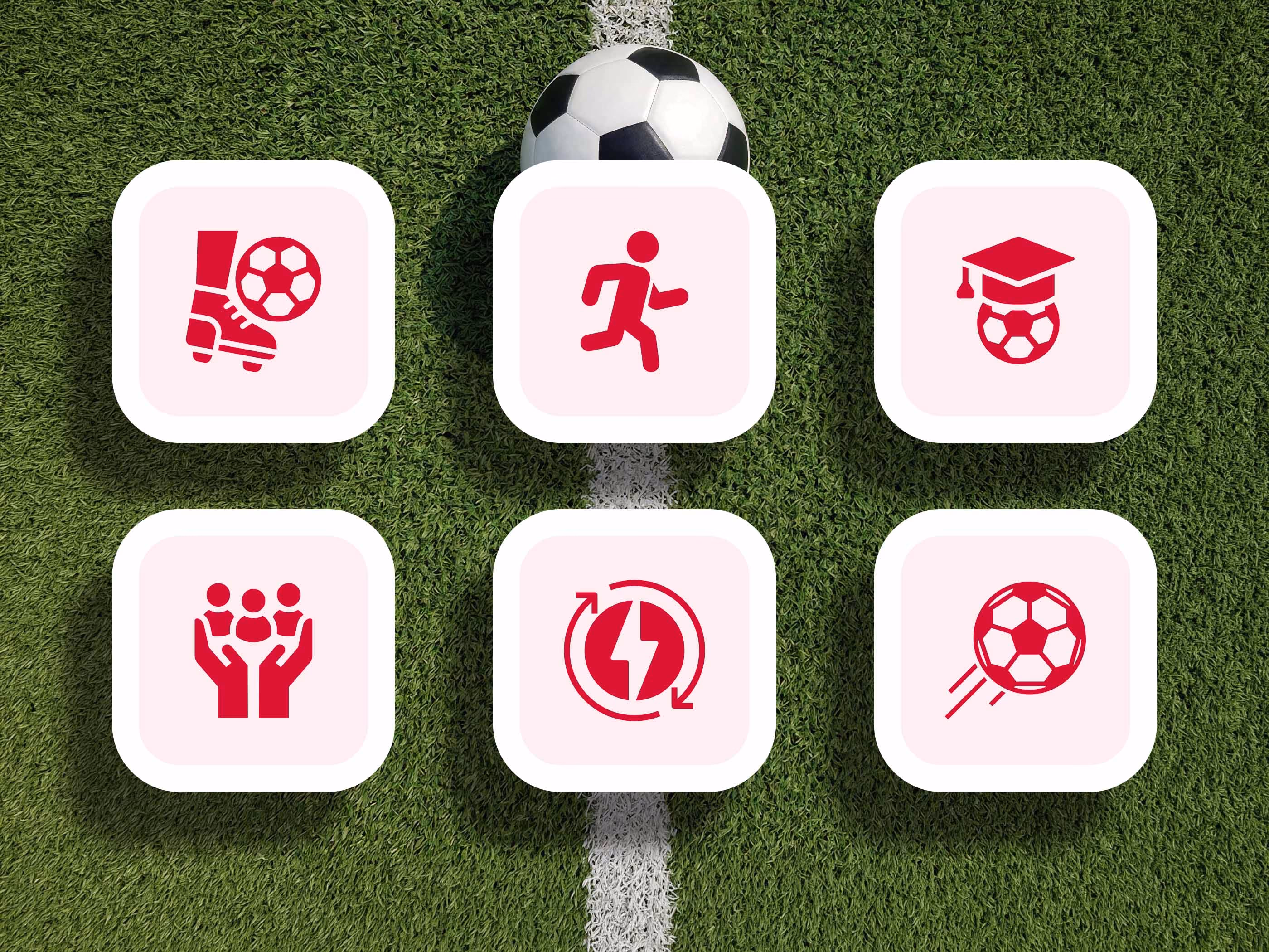 Sechs individuell gestaltete Icons im Corporate Design der Bolzakademie auf Rasenhintergrund